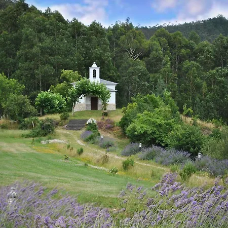 Hétvégi ház O Bizarro *